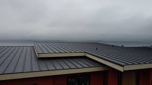 Best Green or Eco-Friendly Roofing Solutions  in Bangs, TX